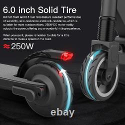 Electric Scooter, 250W Motor, Max Speed 23KM/H, 12KM Range, E-Scooter