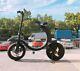 Msks 36v/350w Two Wheel 12in. Portable Folding Off Road Electric Scooter New