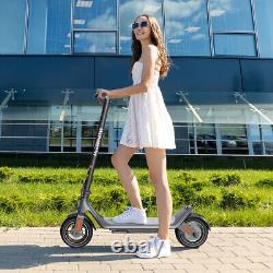 Pro 10.2ah Electric Scooter 350w Motor 25km/H Top Speed Portable Foldable New