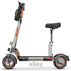 Trottinette Électrique 900W 48V Longue Portée 10'' Pliable E-Scooter Adulte Urbain Commuter