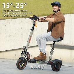 Trottinette Électrique 900W 48V Longue Portée 10'' Pliable E-Scooter Adulte Urbain Commuter